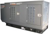 Газовый генератор Generac SG40/PG36 в кожухе Газовый генератор Generac SG40/PG36 в кожухе